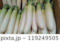 青果店に並ぶ新鮮な青首大根_1704 119249505