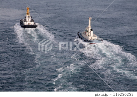 来島海峡大橋を通過するタグボート 119250255