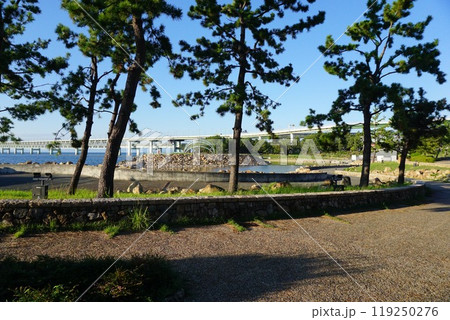 青空のりんくう公園 青空のりんくう公園 119250276