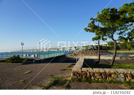 青空のりんくう公園 119250292