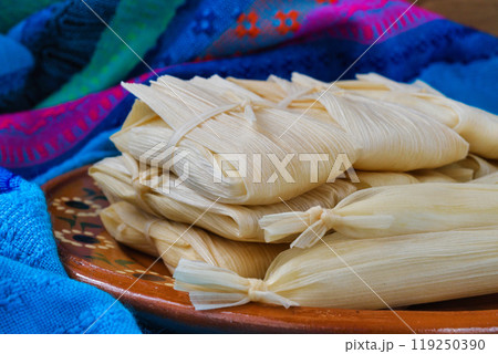 メキシコ料理　タマレス 119250390