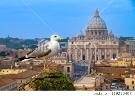 イタリア共和国ローマのバチカン市国の世界遺産サンピエトロ大聖堂　サンタンジェロ城のカモメ越しの眺め 119250407