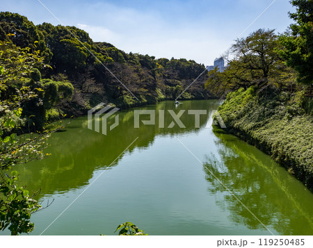 千代田区立九段坂公園から望む千鳥ヶ淵 119250485