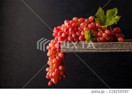 Colorful grapes against a dark background Colorful grapes against a dark background 119250597