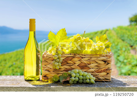Bottle of white wine and basket of grape 119250720