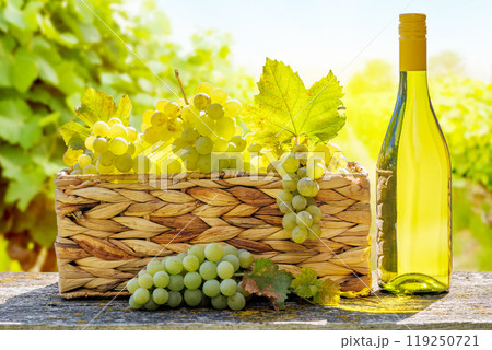 Bottle of white wine and basket of grape Bottle of white wine and basket of grape 119250721