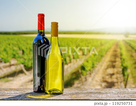 Bottles of red and white wine Bottles of red and white wine 119250731