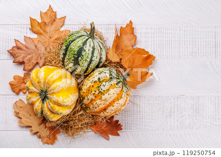 Autumn-themed food arrangement with pumpkins and autumn leaves 119250754