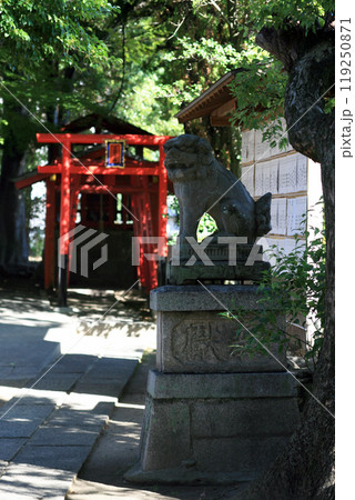 境内の狛犬と鳥居 119250871