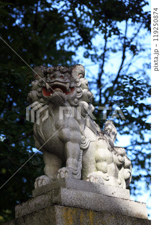 神社の阿形の狛犬 119250874