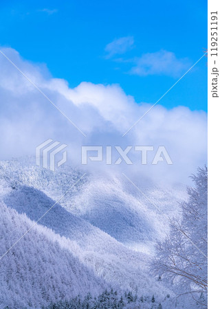【霧氷素材】白と青の世界・霧氷と青空【長野県】 119251191