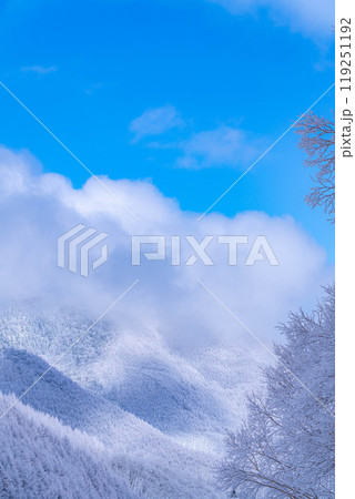【霧氷素材】白と青の世界・霧氷と青空【長野県】 【霧氷素材】白と青の世界・霧氷と青空【長野県】 119251192