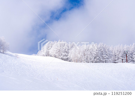 【霧氷素材】白と青の世界・霧氷と青空【長野県】 119251200