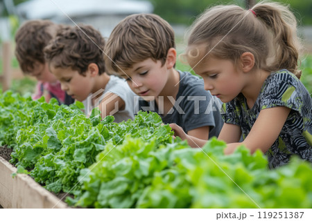 Children engaged in hands-on gardening while planting lettuce in a sunny field 119251387