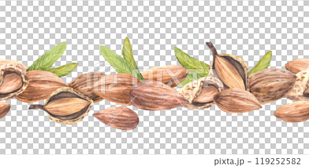 Almond nuts, tree branch with leaves and flowers seamless border. Shelled and unshelled nuts horizontal pattern. Food label design. Watercolor illustration hand drawn Clipart Isolated from background Almond nuts, tree branch with leaves and flowers seamless border. Shelled and unshelled nuts horizontal pattern. Food label design. Watercolor illustration hand drawn Clipart Isolated from background 119252582