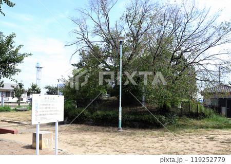 弊塚古墳（兵庫県 神戸市） 119252779