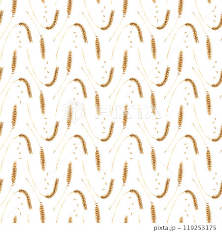 Watercolor seamless pattern with ears of wheat, cereal, corn and golden grains. Hand drawn repeat pattern isolated on white background for wrapping wallpaper fabric textile 119253175