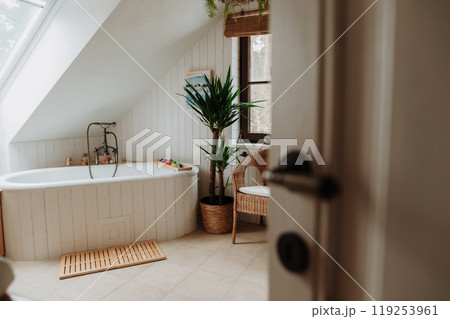 Modern attic bathroom with a bathtub and water toys. 119253961