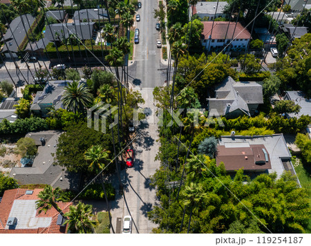 Aerial perspective of a Los Angeles neighborhood featuring tree lined streets, single family homes, and iconic tall palm trees casting shadows. Aerial perspective of a Los Angeles neighborhood featuring tree lined streets, single family homes, and iconic tall palm trees casting shadows. 119254187