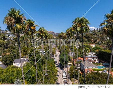 A street in Hollywood, Los Angeles, features tall palm trees and residential homes, with the Hollywood Hills visible under a clear blue sky. A street in Hollywood, Los Angeles, features tall palm trees and residential homes, with the Hollywood Hills visible under a clear blue sky. 119254188