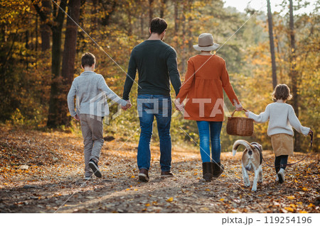 Young family with two kids and dog on a walk in autumn forest, mushroom hunting. Rear view, walking and holding hands. 119254196