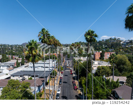 Aerial view of a street with tall palm trees in Hollywood, Los Angeles. The Hollywood Hills and residential buildings are visible under a clear blue sky. 119254242