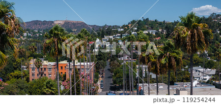 The image features the Hollywood Sign in Los Angeles, with palm lined streets and residential buildings, under a clear blue sky and lush greenery. The image features the Hollywood Sign in Los Angeles, with palm lined streets and residential buildings, under a clear blue sky and lush greenery. 119254244