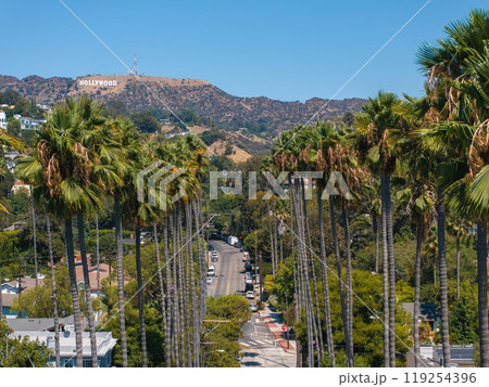 View of the Hollywood district in Los Angeles, featuring the Hollywood Sign on the hills. Tall palm trees line a residential street under a clear blue sky. View of the Hollywood district in Los Angeles, featuring the Hollywood Sign on the hills. Tall palm trees line a residential street under a clear blue sky. 119254396
