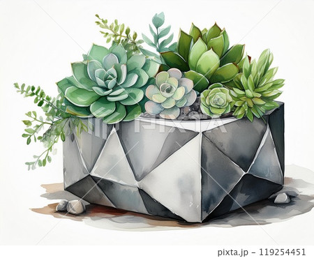 Succulent arrangement in a geometric planter, white isolated background. 119254451