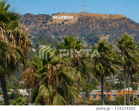 The iconic Hollywood Sign stands on the hills of Los Angeles, California, with tall palm trees in the foreground and clear blue skies above. The iconic Hollywood Sign stands on the hills of Los Angeles, California, with tall palm trees in the foreground and clear blue skies above. 119254505
