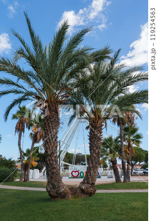 A pair of tall palm trees stand in the foreground with a Ferris wheel visible through the fronds, set against a clear sky in beautiful Sardinia. 119254563