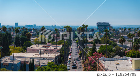 Aerial perspective of a street with tall palm trees in Hollywood, Los Angeles. The iconic Hollywood sign is visible, surrounded by urban and green areas. 119254709