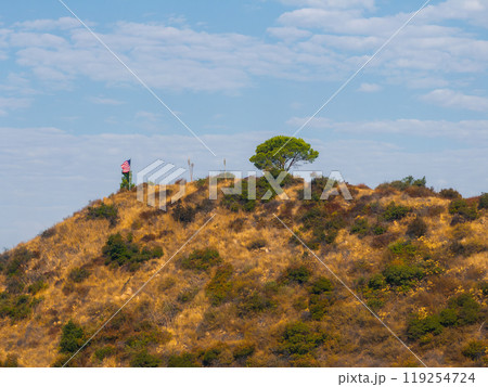 A single tree and American flag stand on a hilltop in Hollywood Hills, Los Angeles, with dry vegetation and a partly cloudy sky. A single tree and American flag stand on a hilltop in Hollywood Hills, Los Angeles, with dry vegetation and a partly cloudy sky. 119254724
