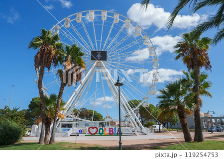 A vibrant Ferris wheel set against a clear blue sky in Olbia, Sardinia, Italy, surrounded by lush palm trees, blending modern leisure with natural beauty. A vibrant Ferris wheel set against a clear blue sky in Olbia, Sardinia, Italy, surrounded by lush palm trees, blending modern leisure with natural beauty. 119254753
