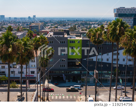 Tall palm trees frame modern buildings with a lime green facade in Hollywood, Los Angeles. The cityscape extends under a clear, sunny sky. 119254756