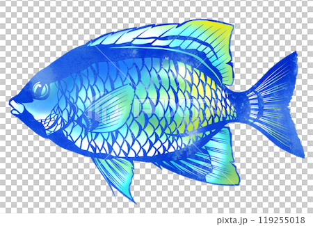 可愛的魚石垣雀鯛的剪圖插圖 119255018