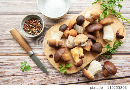 A colorful assortment of fresh mushrooms on a wooden cutting board with herbs and spices  119255208
