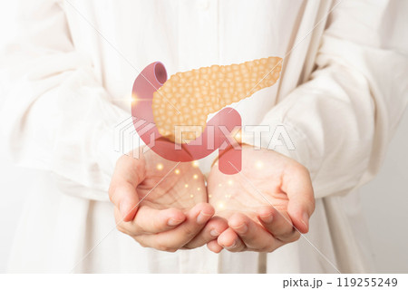 Pancreas organ anatomy on doctor hands. Awareness of pancreatitis and pancreatic cancer concept. 119255249