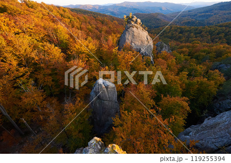 Aerial view of rugged rock formations surrounded by sea of vibrant autumn foliage. Golden and orange leaves, contrasting with gray rocks under clear sky. Dovbush Rocks, Carpathian mountains, Ukraine. Aerial view of rugged rock formations surrounded by sea of vibrant autumn foliage. Golden and orange leaves, contrasting with gray rocks under clear sky. Dovbush Rocks, Carpathian mountains, Ukraine. 119255394