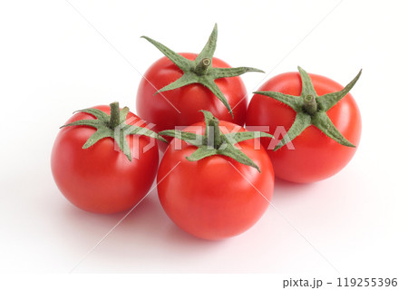 白背景のミディトマト 119255396
