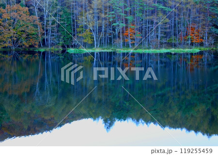 秋彩の池面に映る絵画の世界 119255459