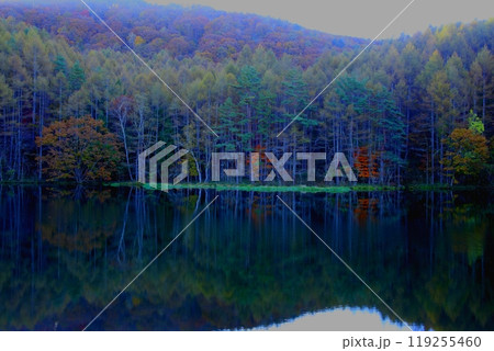 秋彩の池面に映る絵画の世界 秋彩の池面に映る絵画の世界 119255460