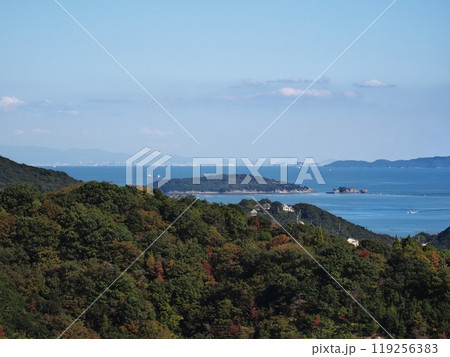 大平山から見る播磨灘の眺望 119256383