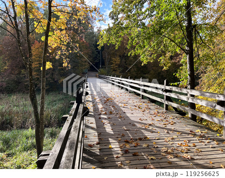 Autumn nature landscape. Lake bridge in fall forest. Path way in gold woods. Romantic view image scene. Magic misty sunset pond. Red color tree leaf park. Rumsiskes  119256625
