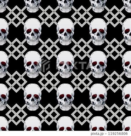 骸骨の背景素材 119256806