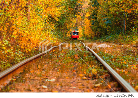 Autumn forest through which an old tram rides (Ukraine) 119256940