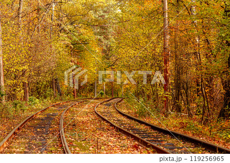 Autumn forest through which an old tram rides (Ukraine) Autumn forest through which an old tram rides (Ukraine) 119256965