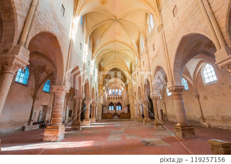 Collegiate saint martin church, Champeaux, France, interiors Collegiate saint martin church, Champeaux, France, interiors 119257156