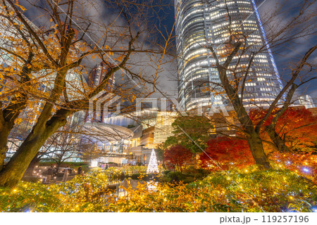 毛利庭園の幻想的な夜景 119257196