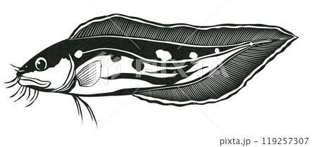 食用魚イタチウオのシンプル白黒切り絵イラスト 119257307